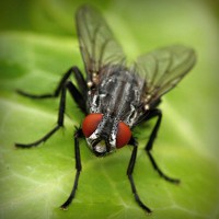 /album/rebfadalabaw/photolia-a01-jpg/