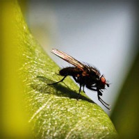 /album/rebfadalabaw/photolia-a04-jpg/