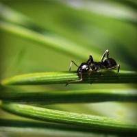 /album/rebfadalabaw/photolia-a05-jpg/