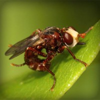 /album/rebfadalabaw/photolia-a06-jpg/