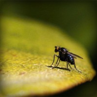 /album/rebfadalabaw/photolia-a07-jpg/