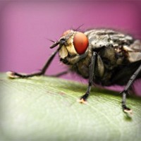 /album/rebfadalabaw/photolia-a08-jpg/